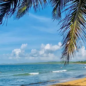 beach-bumshideaway.top-hotels-puertorico.com/